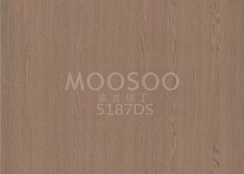 Rustiikkinen valkoinen jalavapuuseinäpaneeli: ajaton eleganssi kohtaa modernin toiminnallisuuden